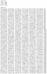 Figure IDA00002091897100701