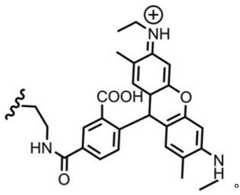 Figure BDA0003670511740000923