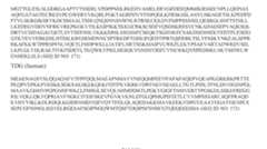 Figure imgf000263_0003