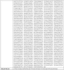 Figure BDA0002781184070000131