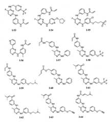 Figure 112016119396583-pat00082