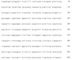 Figure 108123466-A0305-02-0642-634