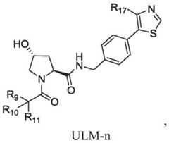 Figure BDA0003027048450001522
