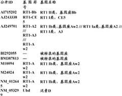 Figure BDA0000057170160002393