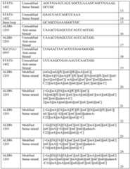 Figure imgf000171_0001