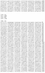 Figure IDA00002091897101651