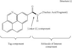 Figure US06613508-20030902-C00001