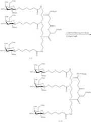 Figure US11896674-20240213-C00070