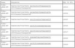 Figure imgf000176_0002