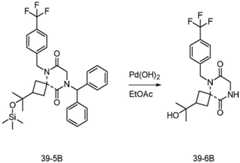 Figure BDA0003027264030003852