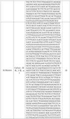 Figure BDA0002572923940000701