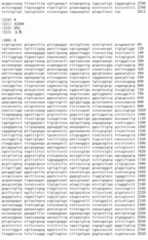 Figure IDA00002091897100071