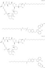 Figure US11364300-20220621-C00260