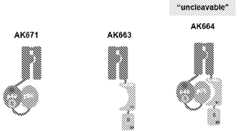 Figure imgf000166_0001