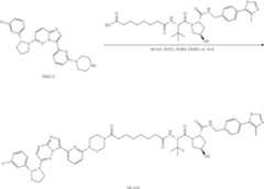 Figure US11969472-20240430-C00200