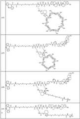 Figure BDA0002889616220001901