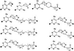 Figure PCTCN2022073822-appb-000008