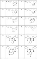 Figure BDA0003017602010001011