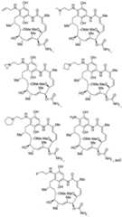 Figure imgf000025_0001