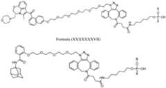 Figure imgf000166_0001