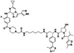 Figure BDA0002964098100002061
