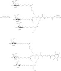 Figure US10793862-20201006-C00206