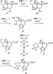 Figure BSA00000666899900081