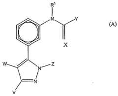 Figure imgf000004_0001