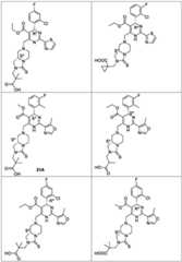 Figure BDA0003122494520000241