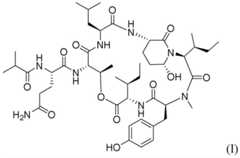 Figure FDA0003832206530000031