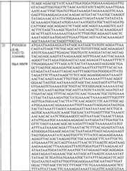 Figure BPA0000175368630000361