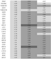 Figure imgf000101_0003