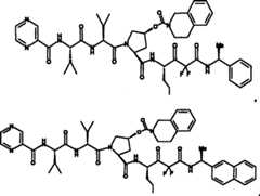 Figure F2009101493490C00195