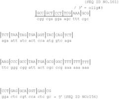 Figure US07208293-20070424-C00027