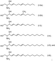 Figure imgf000078_0001