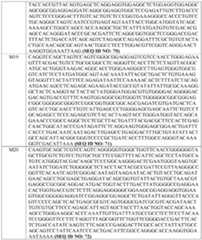 Figure imgf000158_0001