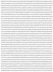 Figure imgf000057_0001