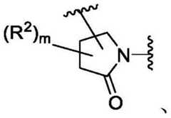 Figure BDA0003783300830000831