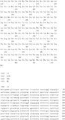 Figure IDA0000079231860000101