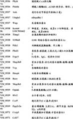 Figure BDA0000057170160001501