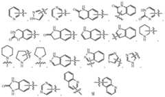 Figure 112010081398093-pct00007