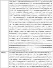 Figure imgf000366_0001