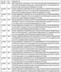 Figure BDA0002795140310001281