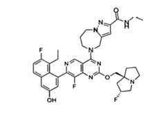 Figure imgf000531_0002