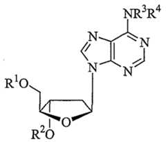 Figure imgf000031_0001