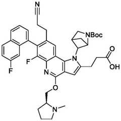 Figure BDA0003993773060002861