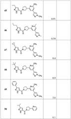 Figure BDA0001316473010001721