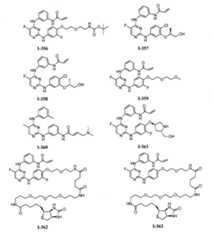 Figure 112016119396583-pat00111