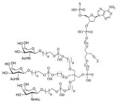 Figure 2023012548000242