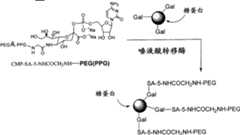 Figure A20078003455101791